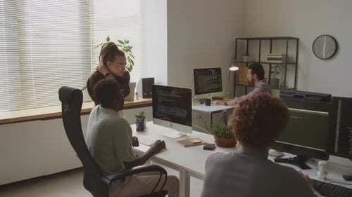 Multiracial Colleagues Discussing Program Coding in Office
