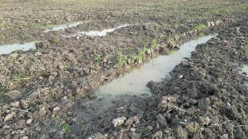 Close up shot of cultivation muddy land