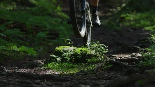 A mountain biker jumps over a rock in slow motion
