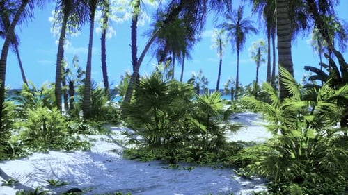 Lush Tropical Beach Landscape with Swaying Palm Trees