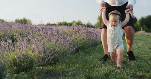 Dad Teaches His Daughter to Walk the Child Takes the First Steps Holding Hands of His Father Baby's