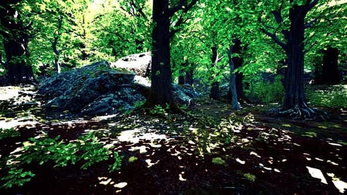 A Massive Rock Formation Surrounded By Lush Greenery in a Serene Forest Setting