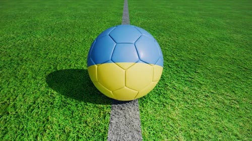 3D Soccer Ball with Country Flags on Green Grass Field
