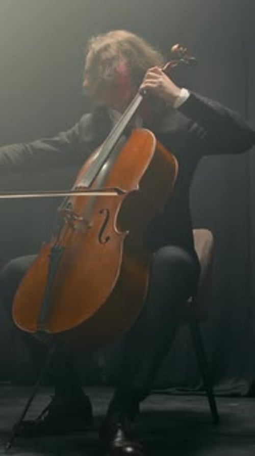 Vertical of Cello Player Giving Performance