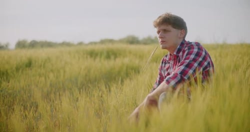 Man Farmer Working in the Field Inspects the Crop Wheat Farming Agriculture