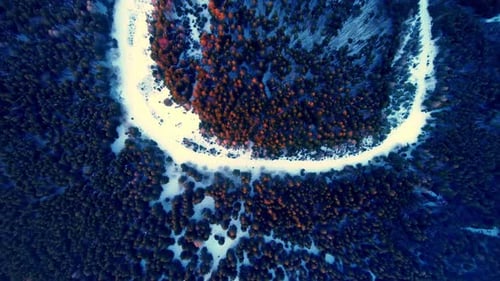 Aerial View of a Snowy Forest Road in a Spruce Forest