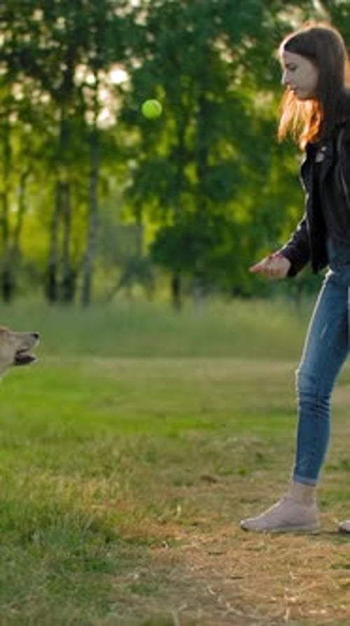 Woman Plays Fetch With Dog in Park