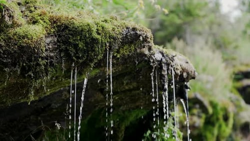 Water Flowing Down By The Mossy Rock Deep In The Forest. - slow motion