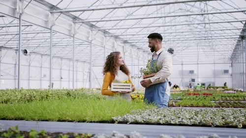 Colleagues Working in Garden Centre, Looking at Camera