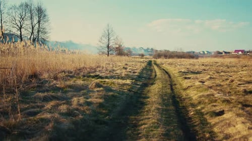 Walking on Welltrodden Path Throguh Wheat Field on Sunny Day Picturesque Rural Deserted Landscape in