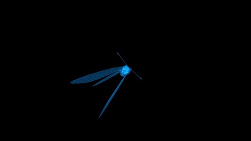 El vuelo de la mariposa virtual