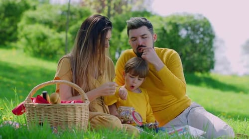 Family Enjoys Sunny Picnic in Lush Green Park
