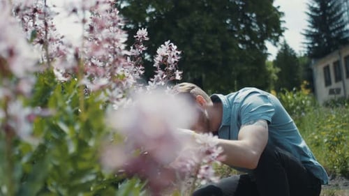 Barberstyled Young Man Male Gardener in Casual Wear and Protecting Gloves Cutting Flowers Bush Using