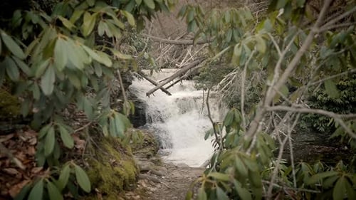 Beautifully framed view of slow motion waterfall through Appalachian mountain trees