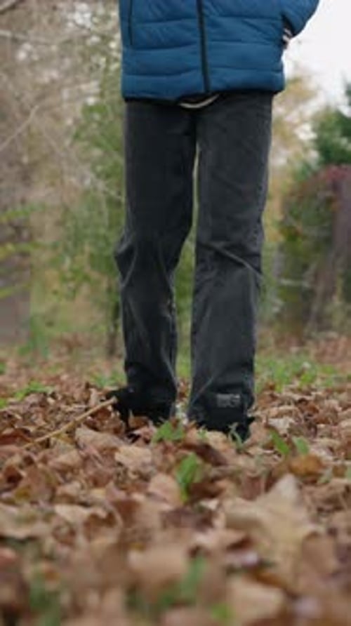 Child Scattering Dry Autumn Leaves on Forest Floor with Stick in Fall