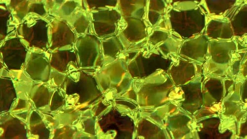 Abstract Deformable Liquid Glass 04. 4 K