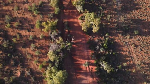 Drone footage of a dry red river bed in outback Australia