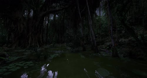 Des zones humides nocturnes regorgeant d'interactions et de croissance avec des animaux invisibles