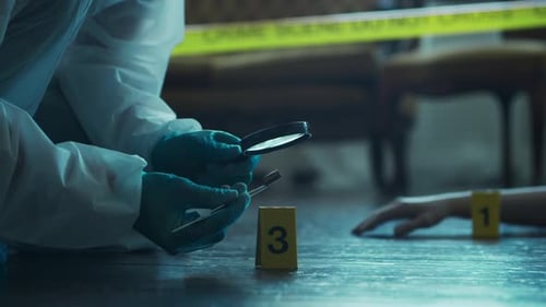Forensic Investigator Inspecting Evidence at a Crime Scene