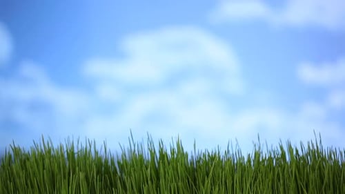 Green Field Sky Time Lapse