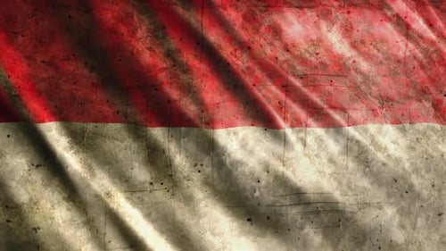 Grunge mit Flagge von Monaco
