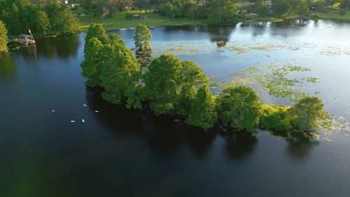 Faixa de floresta se estende até o lago enquanto os pássaros voam abaixo, vista aérea