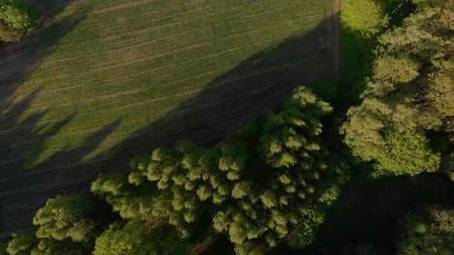 Slow drone aerial flying over fields and forests in the Courland of Latvia