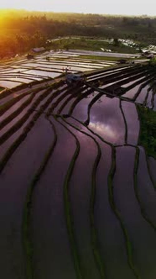 Lever de soleil doré sur les rizières en terrasses de Jatiluwih avec des rizières réfléchissantes capturées en vue aérienne verticale