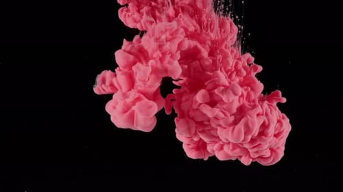 Rosa Tinte 4k