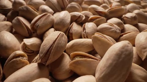 Pile of Pistachio Nuts in Shells Close Up