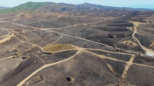 Burnt Forest Landscape After Wildfire - Aerial View in 4K