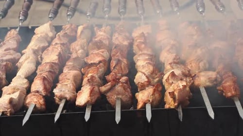 Kebab Skewer Meat Dish BBQ Meat on Grill