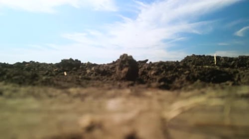 Tractors plowing the field in Ukraine