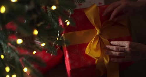 Woman Unties Christmas Gift Ribbon Under Lit Tree