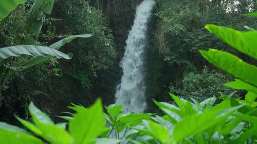 Thin Waterfall Cascades Through Jungle in Uruapan National Park