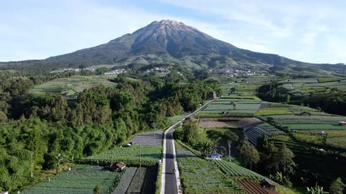 Aerial view of beautiful tropical landscape with view of a road in straight through to the mountain.