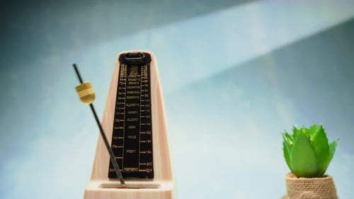Metronome On A Soft Background Near A Plant