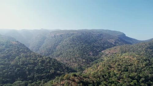 Den forest located in the border of Tirupati.
