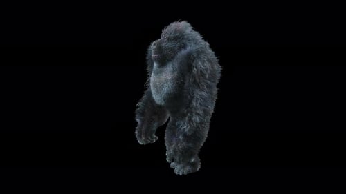 14 Gorilla Dancing 4K