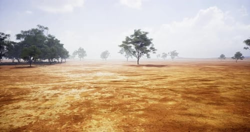 Aerial View Over Arid Landscape with Scattered Trees