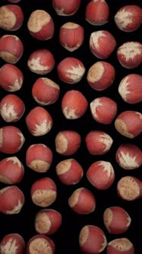 Natural Hazelnuts Falling Seamless Loop Animation