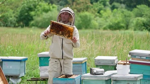 Beekeeper arbeitet mit Waben. Mann im Schutzanzug arbeitet im Bienenhaus.