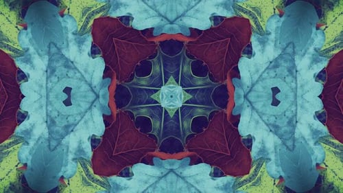 Abstract Nature Leaf Kaleidoscope Seamless Loop