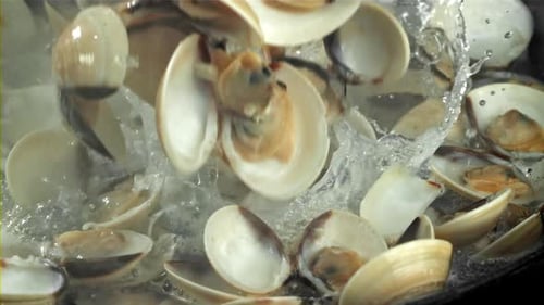 La Vongole tombe dans l'eau bouillante filmée par une caméra à haute vitesse à 1000 images par seconde