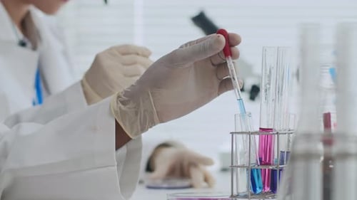 Scientists Conduct Research in Modern Laboratory