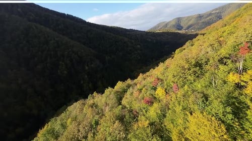 The Fpv Drone Flies Down Into the Mountain Over the Autumncolored Trees