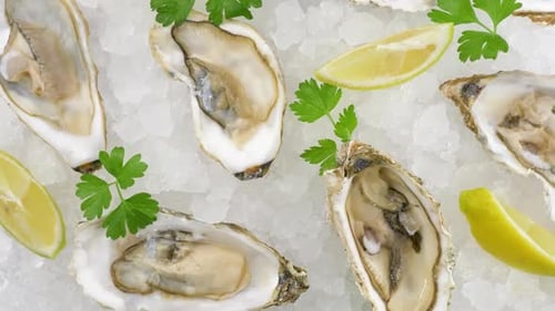 Oysters on Half Shell on Ice