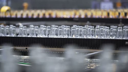 Automated Bottling Line and Conveyor