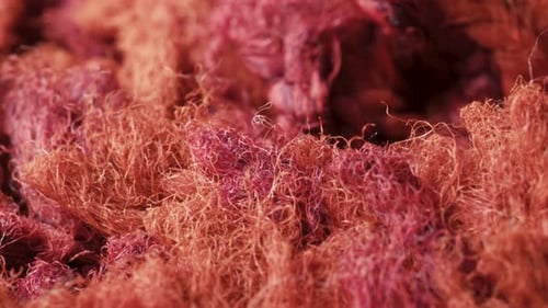 Macro slide shot, long pile red carpet