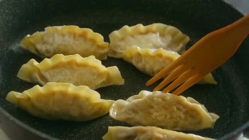 Cooking Delicious Dumplings in a Pan